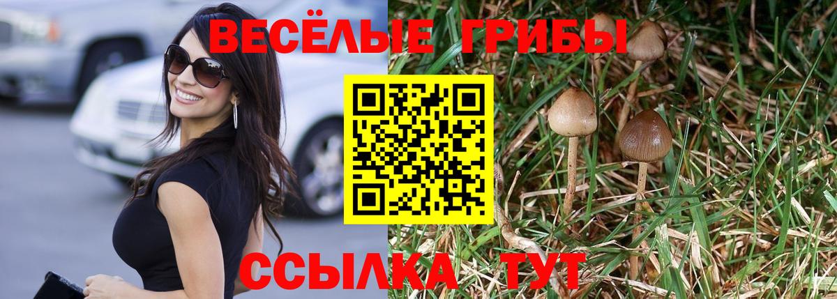 Галлюциногенные грибы Psilocybine cubensis Алапаевск