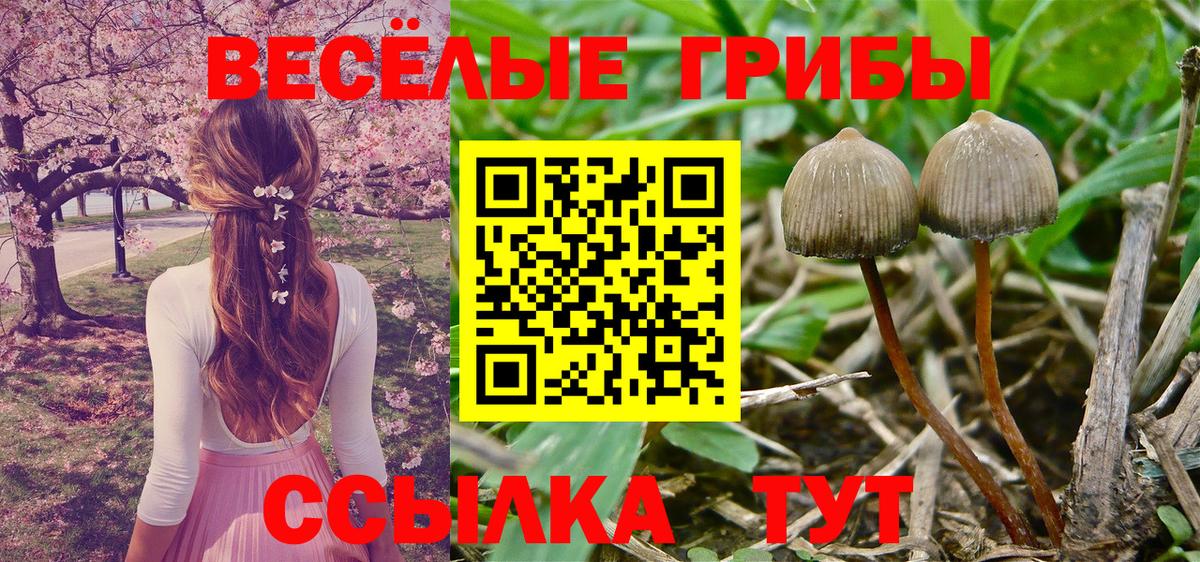 Алапаевск  Псилоцибиновые грибы GOLDEN TEACHER  Вход с VPN  Псилоцибиновые грибы мицелий 